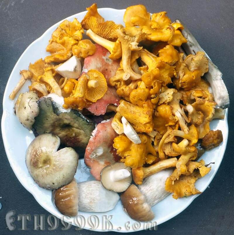 Ingredients for mushroom sauce