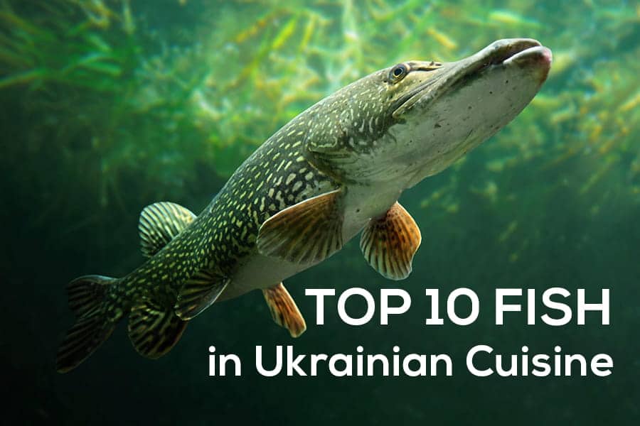 Best 10 popular fish Ukrainian cuisine Etnocook